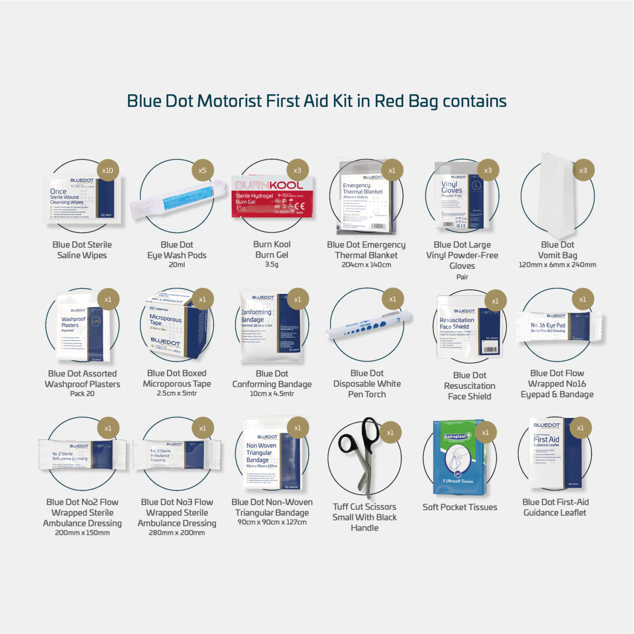 Blue Dot Motorist First Aid Kit Packed in Series Bag - Image 2